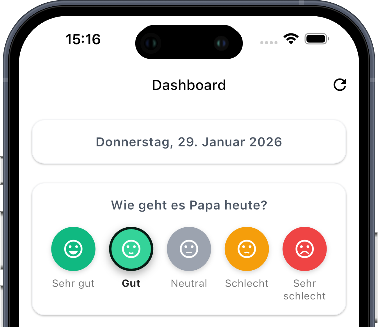 MeinPflegetagebuch App Screenshots